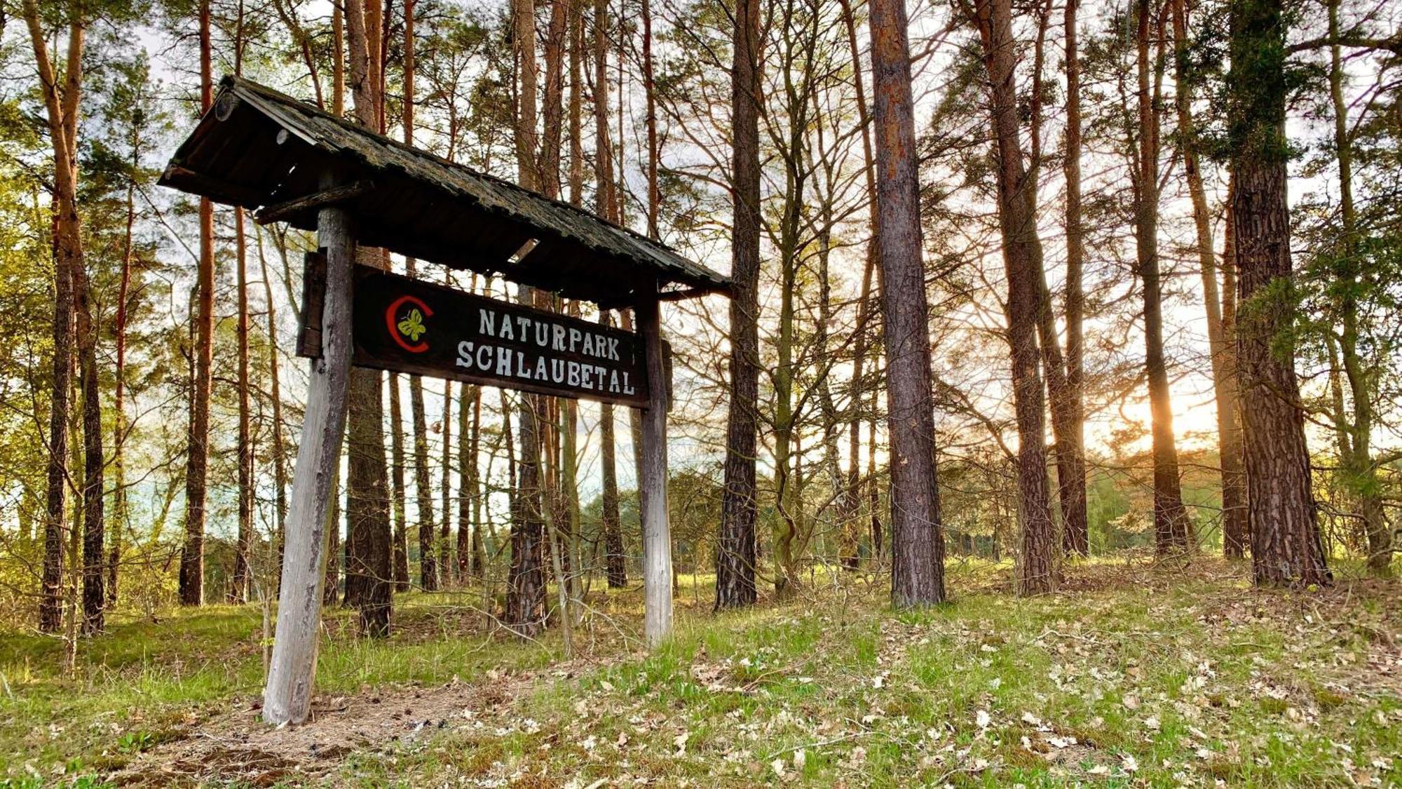 Naturnahe Gaestewohnung Im Heidelandhaus Henzendorf Neuzelle Eksteriør billede